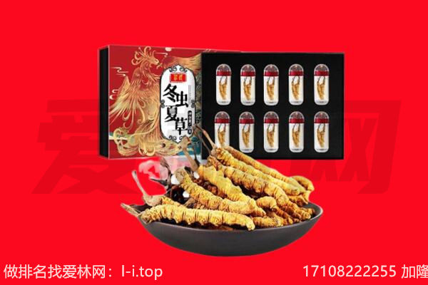 托里县回收虫草.jpg
